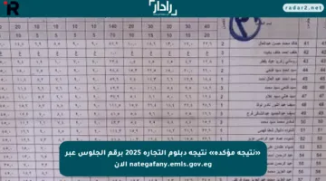 «نتيجة مؤكدة» نتيجة دبلوم التجارة 2025 برقم الجلوس عبر nategafany.emis.gov.eg الآن